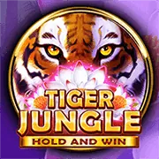 Giới thiệu đá gà Kingfun App