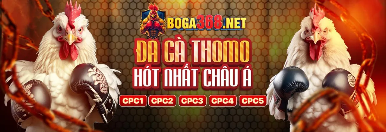 Lời kêu gọi hành động cuối cùng để đăng ký Kingfun App